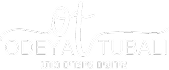 אודיה טובלי לוגו נבחר-02 1